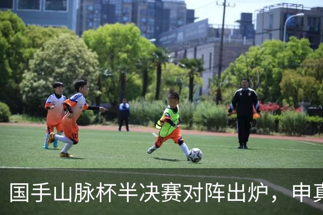 国手山脉杯半决赛对阵出炉，申真谞VS王星昊